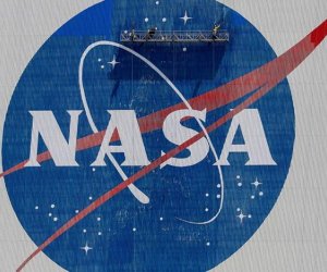 Сотрудники штаб-квартиры NASA пожаловались на тараканов после указа Трампа