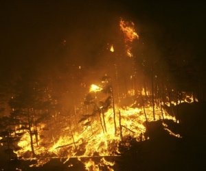 В Южной Корее объявлен режим бедствия из-за лесных пожаров