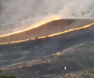 İsrail meşə yanğınlarının söndürülməsində Azərbaycandan kömək istəyib