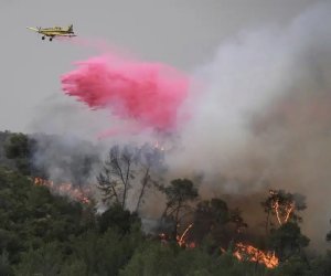 İsrail Fransanın yardımını qəbul etməyib