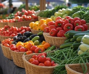 Son 30 ildə dünya təsərrüfatına 3,8 trilyon dollar ziyan dəyib