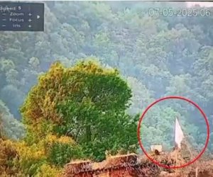 Indian army raises white flag at LoC post in Kashmir – Daily Pakistan