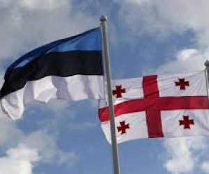 Estoniya Gürcüstan üçün vizasız rejimi ləğv edib