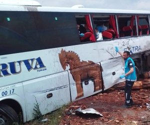 В Турции автобус с туристами попал в тяжелое ДТП: много погибших и пострадавших