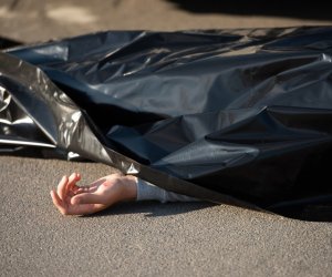 В Гёйчае мужчина погиб, упав с дерева