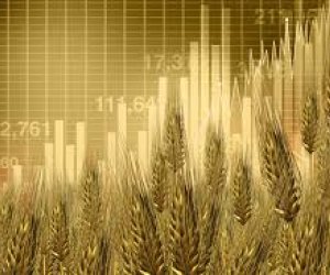 Wheat prices hit a nine-month low on improved crop outlook