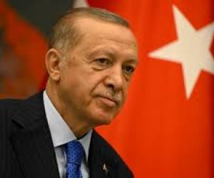 Erdogan, Meloni discuss peace efforts between Ukraine and Russia