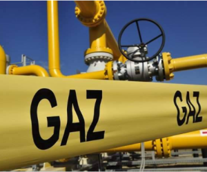 U.S. fund eyes control over gas transit via Bulgaria