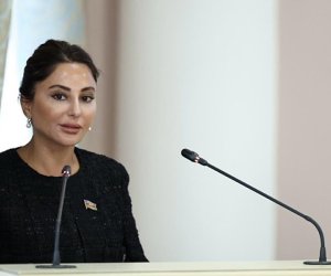 Vicdansız sözünün qanunda istifadəsində bir problem yoxdur - Deputat
