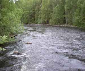 Уровень воды в реках Азербайджана стремительно растет