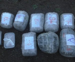 Полиция Казахстана изъяла 83 ведра марихуаны из жилого дома