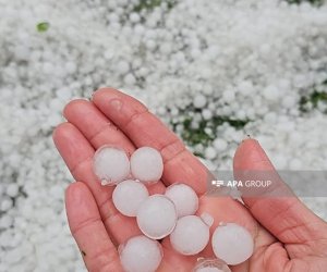 Zaqatalaya dolu yağıb