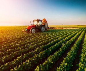 Azerbaijan boosts agricultural spending by 27% over five years