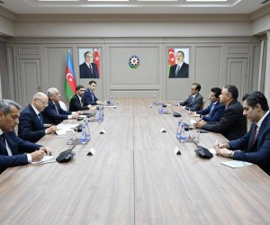 Əli Əsədov Pakistanın neft naziri ilə görüşüb