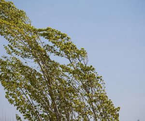 Faktiki hava açıqlanıb