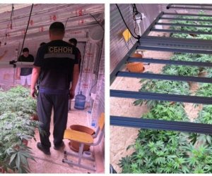 В Бишкеке выявлена нарколаборатория под прикрытием частного детсада