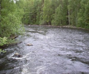 В реках Азербайджана зафиксирован рост уровня воды из-за проливных дождей