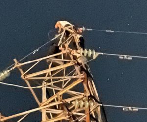 Ağdamda elektrik dirəyinə çıxan gənc xilas edilib - Video