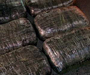 Lənkəranda 18 kiloqram narkotik aşkarlanıb