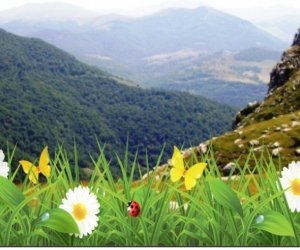 Sabah Bakıda və bölgələrdə hava yağmursuz olacaq