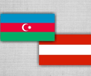 Азербайджан и Австрия провели очередной раунд политических консультаций
