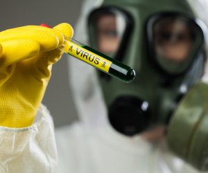 Scientists in China discover two deadly new viruses