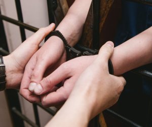 Bir ildə 22 485 nəfər cinayət törədib