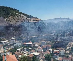Türkiyədə yanğın olub, 100 nəfər təxliyə edilib