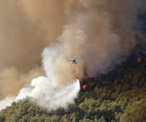 İzmir hava limanı meşə yanğınlarına görə müvəqqəti bağlanıb