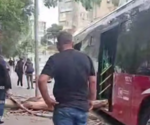 Bakıda ağacı avtobusun üzərinə aşırdı - Video