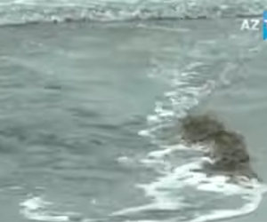 В Баку сточные воды сливаются прямо в Каспийское море