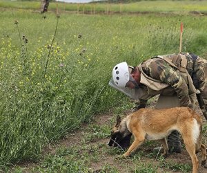 Son bir həftədə təmizlənən minalı ərazilərin həcmi açıqlanıb