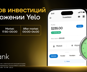 Yelo Invest предлагаетбольшие возможности