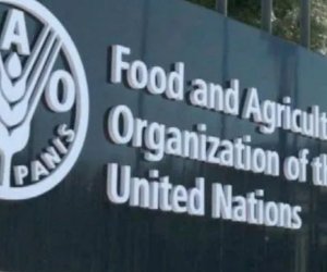 Узбекистан впервые избран в Совет FAO