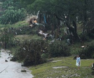 Əkin sahələrinə 90% çox sığorta ödənişi – Aqrar Fondun yarımillik rekordu