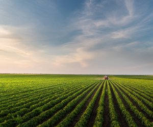 Выплаты по аграрному страхованию в Азербайджане достигли рекордного уровня