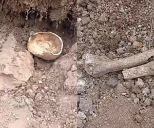Laçında insan sümüklərinə bənzər skelet qalıqları tapılıb