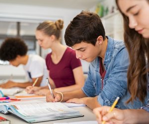 5-ci qrup üzrə qəbulda aşağı balla daxil olanların sayı hələ də yüksəkdir