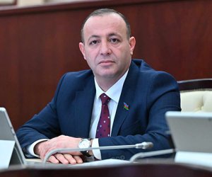 Lerik və Astarada sahibkarlar torpaq təyinatı ilə bağlı problemlərlə qarşılaşır - Deputat