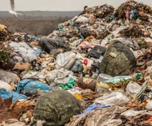 Bakıda Xəzər sahilində tullantı atan 20 nəfər barəsində inzibati tədbir görülüb