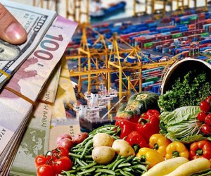 Qeyri neft-qaz sektorundan daxilolmalar 2025-in ilk yarısında 2,3% artıb