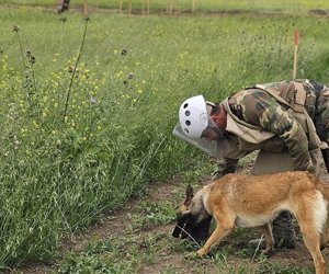 2025-ci ilin birinci yarısında 18 nəfər mina qurbanı olub