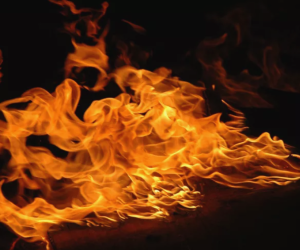 Teenager and smoker accidentally set fire to 6 hectares of land in Lerik