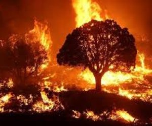 Aghdam fire spreads to the Khojavend district