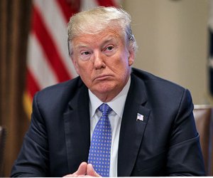 Трамп призвал Европу отказаться от ветряных турбин
