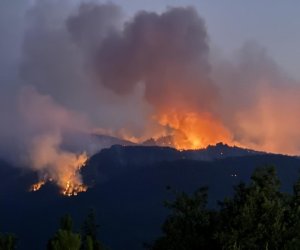 В Агдаме и Физули ликвидированы лесные пожары, борьба с огнем в других районах Карабаха продолжается