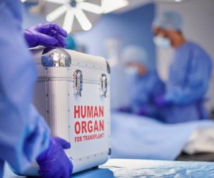 Azərbaycanda 910 nəfər orqan transplantasiyası üçün növbədədir