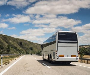 Gəncədə 22 avtobus marşrutu üzrə qalib daşıyıcılar müəyyənləşib
