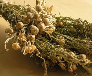 Azerbaijan's justice ministry warns against transporting harmala plant abroad