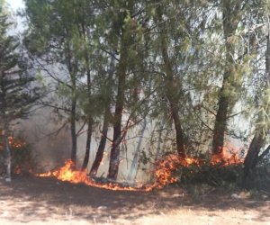 Laçının Güləbird kəndində mürəkkəb relyefli dağlıq ərazidə yanğın olub